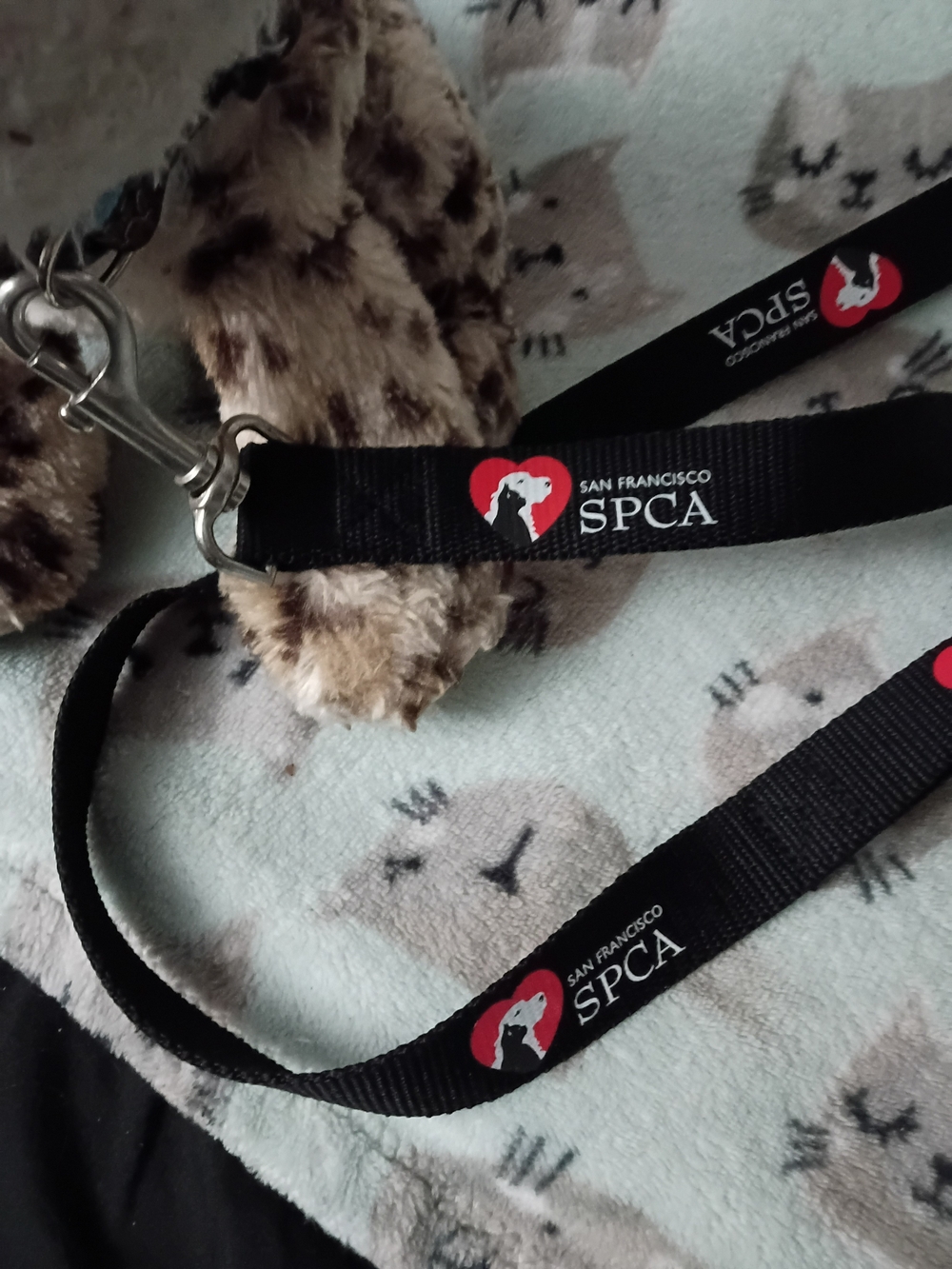 San Francisco SPCA Black Pet Leash with Heart Logo